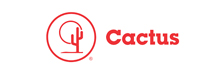 Cactus Wellhead